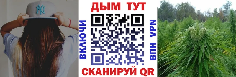 Каннабис ГИДРОПОН Судак