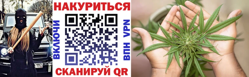 Конопля семена  Купить где  Судак 